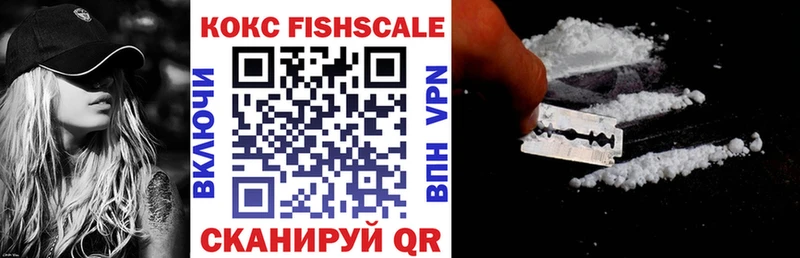 Купить где  Калининск  КОКАИН Fish Scale 