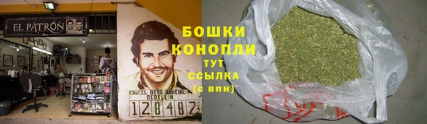 герыч Мегион