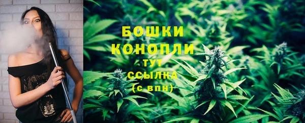 СК Михайлов