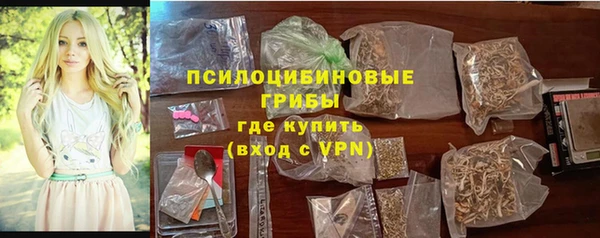 spice Медвежьегорск