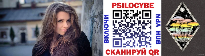 Галлюциногенные грибы Psilocybe  Купить где  Калининск 